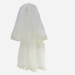 Ivory wedding veil bordered